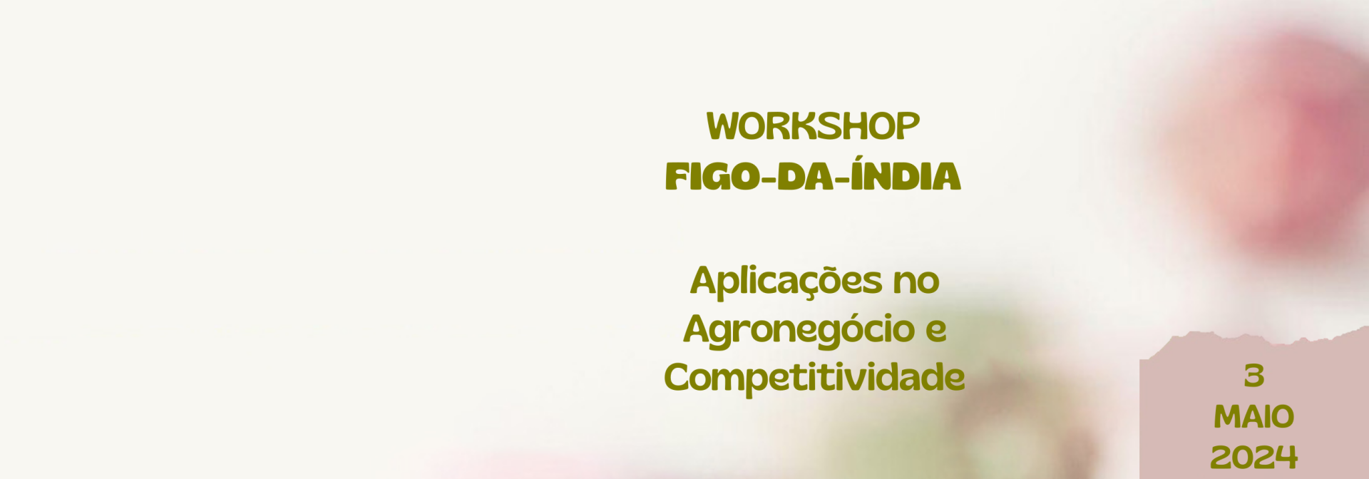 Workshop Figo-da-Índia