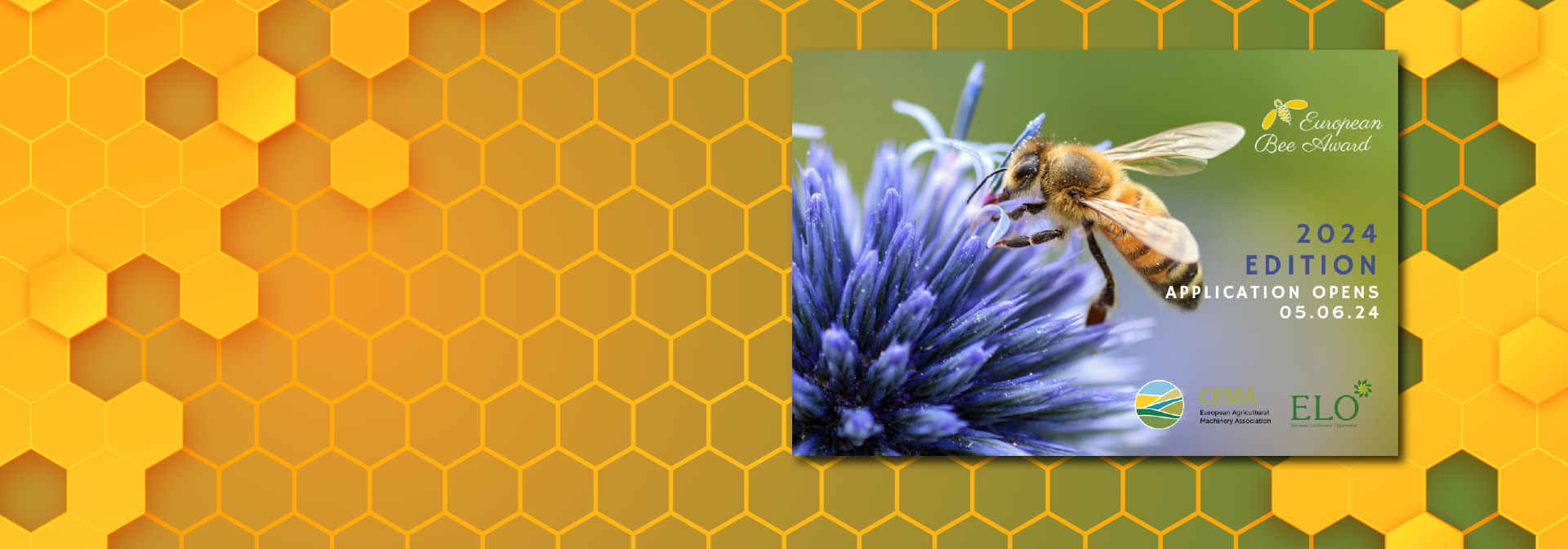 European Bee Award 2024