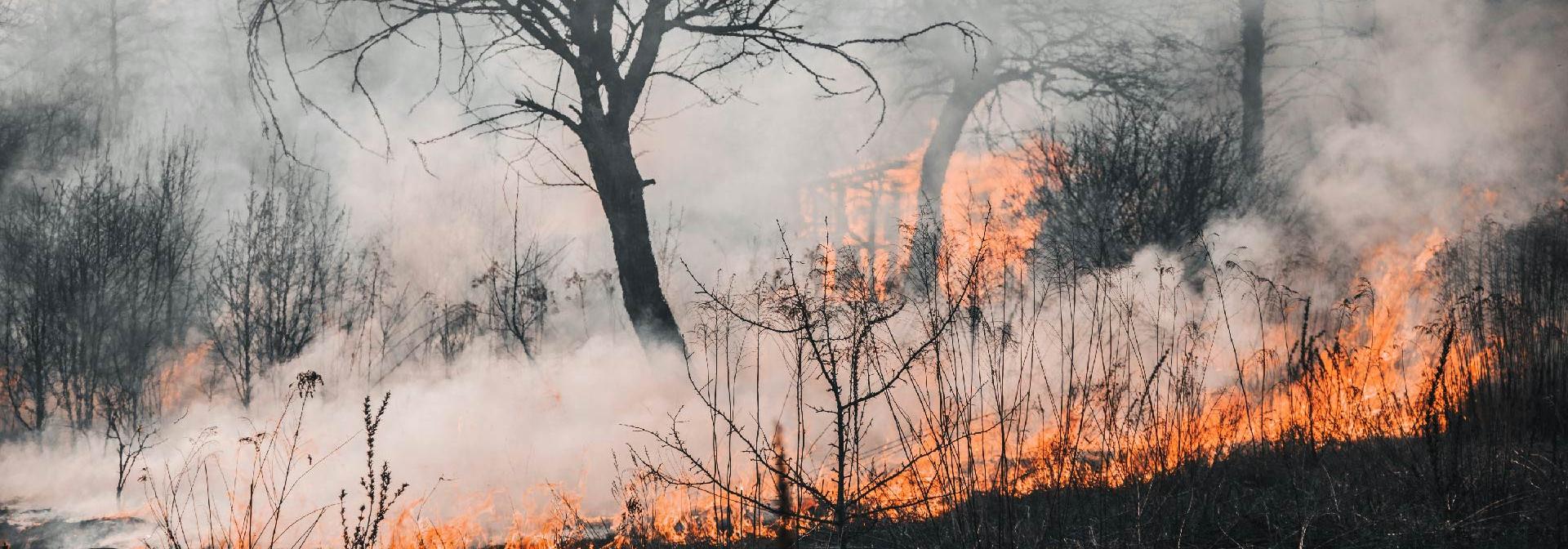  Situação de Alerta até 19 setembro | Risco de incêndio rural